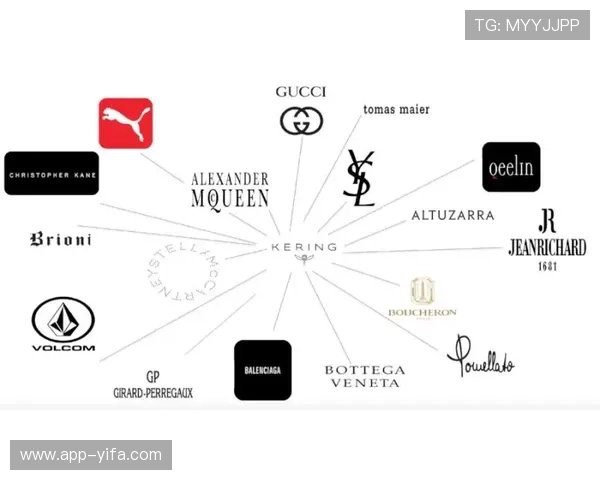 开云旗下品牌的消费者评价与市场反馈分析助你做出更明智的购买决策