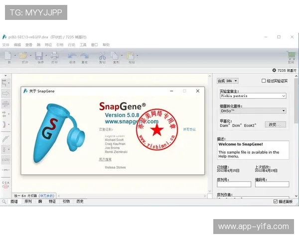 注册后快速激活ag电玩账号的实用技巧